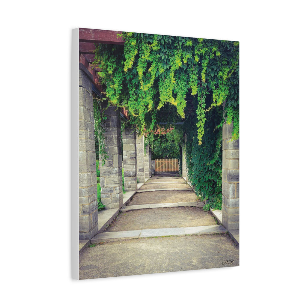 "The Covered Path" photograph on stretched canvas
