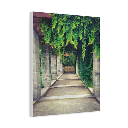 "The Covered Path" photograph on stretched canvas