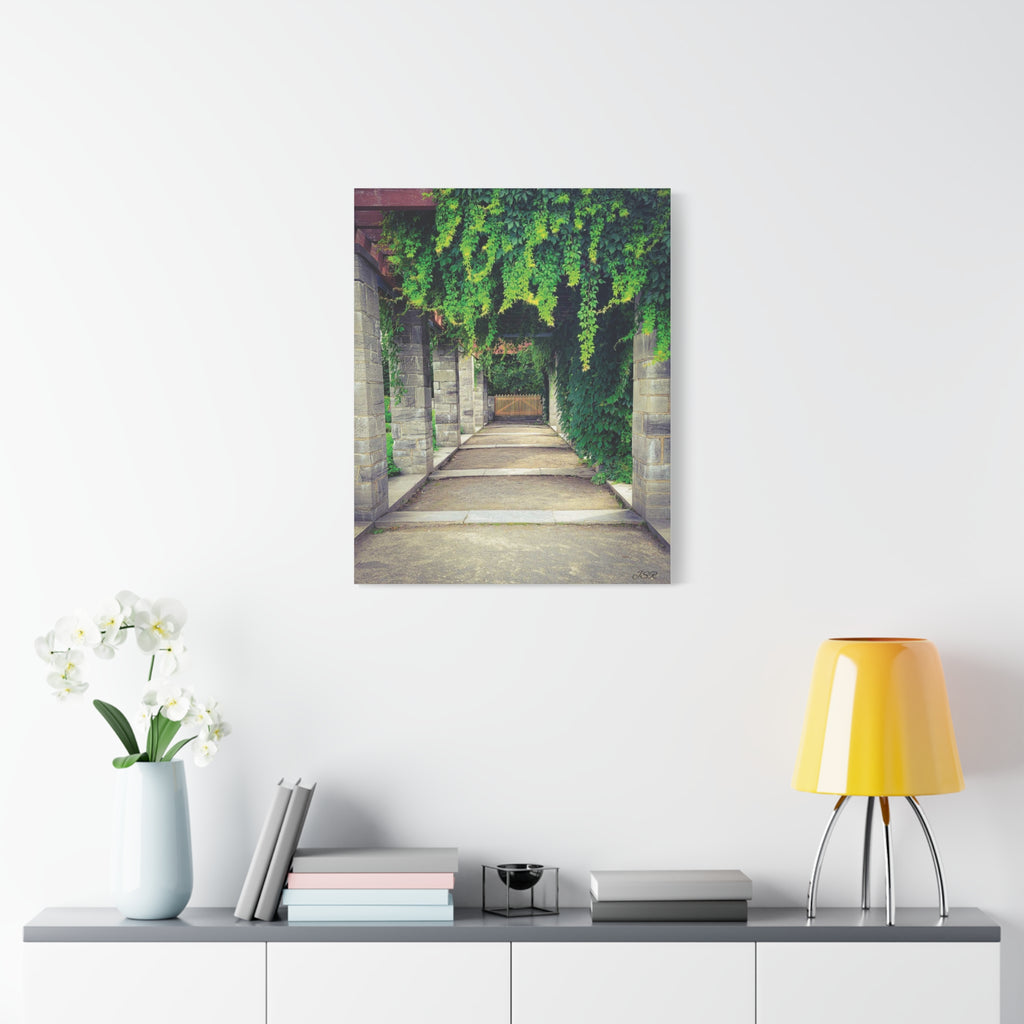 "The Covered Path" photograph on stretched canvas