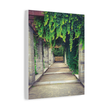 "The Covered Path" photograph on stretched canvas