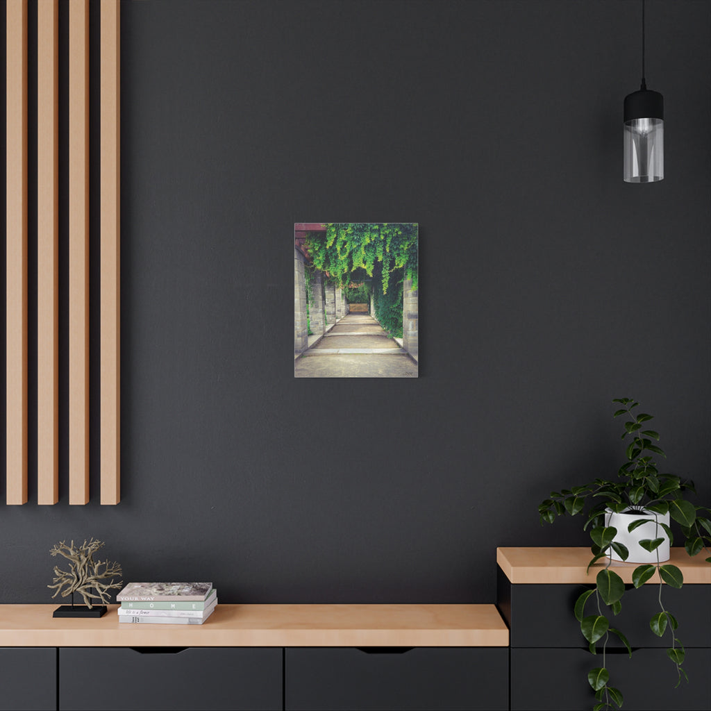 "The Covered Path" photograph on stretched canvas