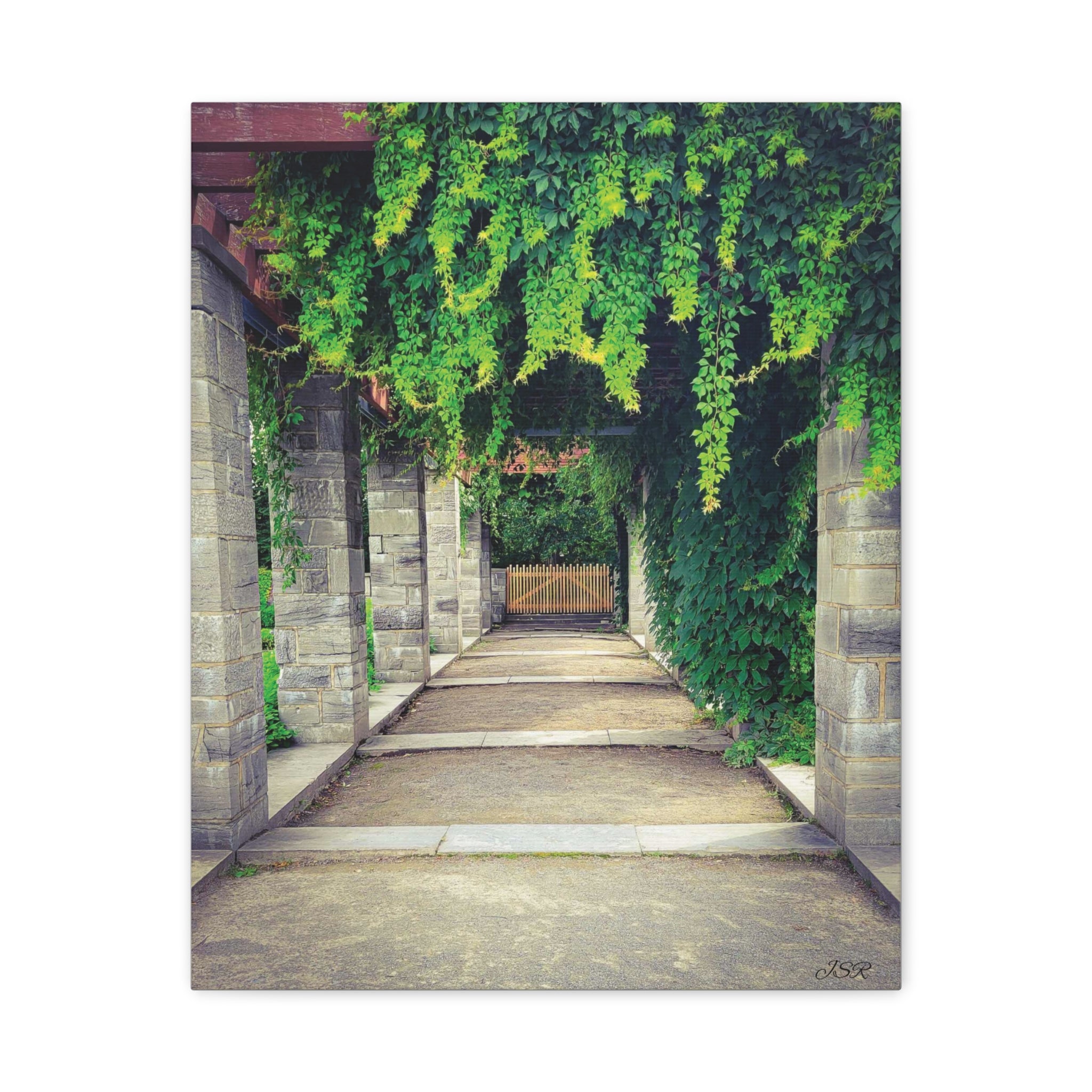 "The Covered Path" photograph on stretched canvas