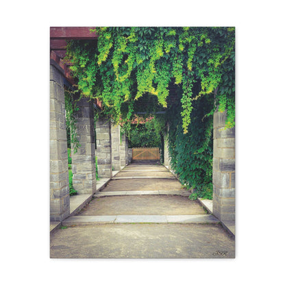 "The Covered Path" photograph on stretched canvas