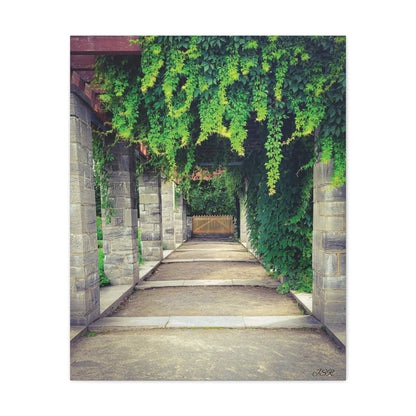 "The Covered Path" photograph on stretched canvas