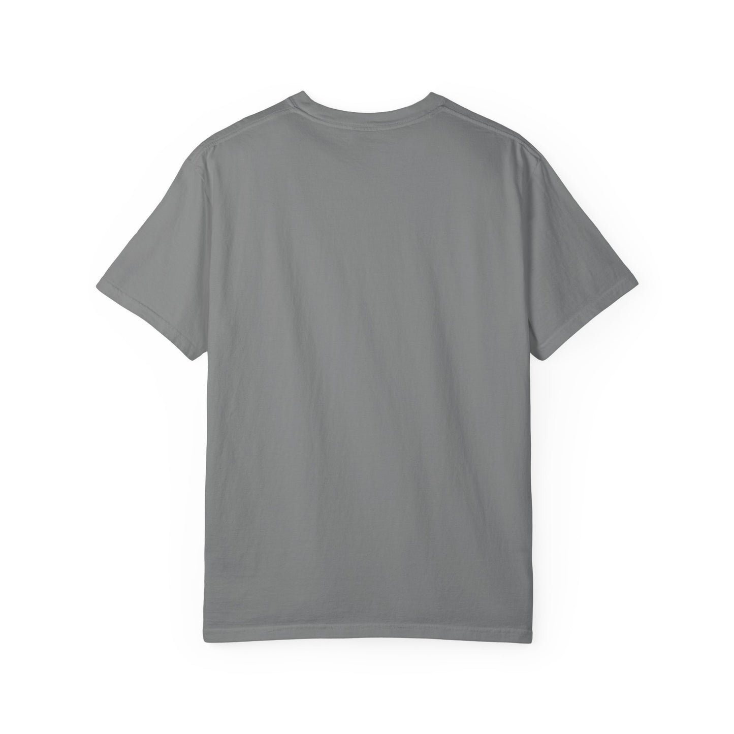 Professional Chiller Girl T-shirt - Penguin Series