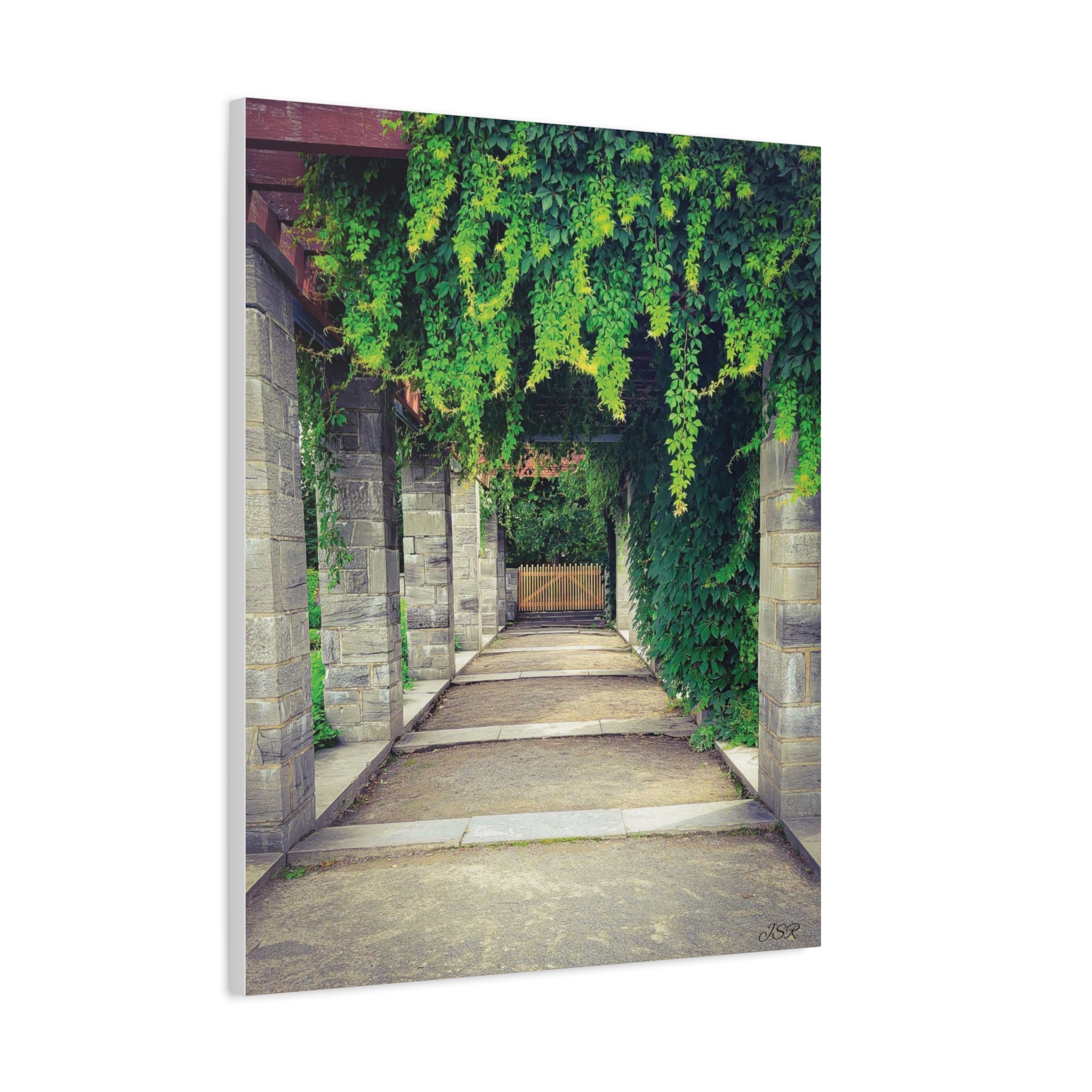 "The Covered Path" photograph on stretched canvas
