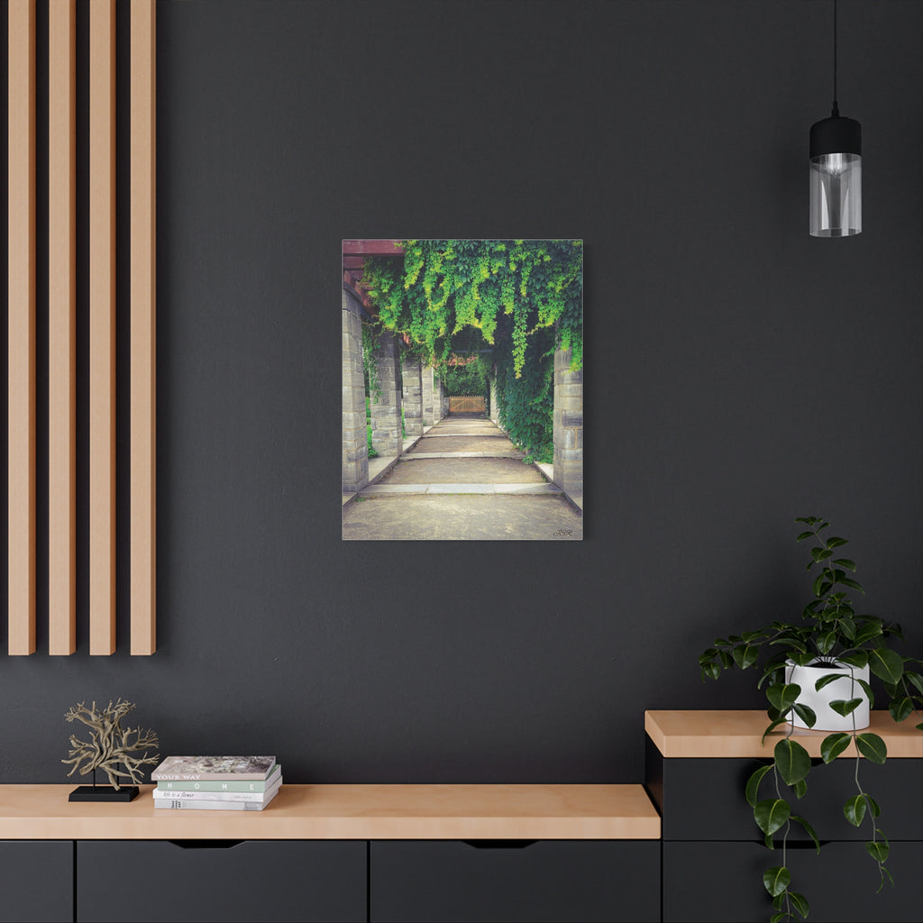 "The Covered Path" photograph on stretched canvas