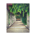 "The Covered Path" photograph on stretched canvas