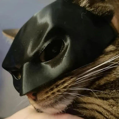 Bat Cat Hero Costume Mask