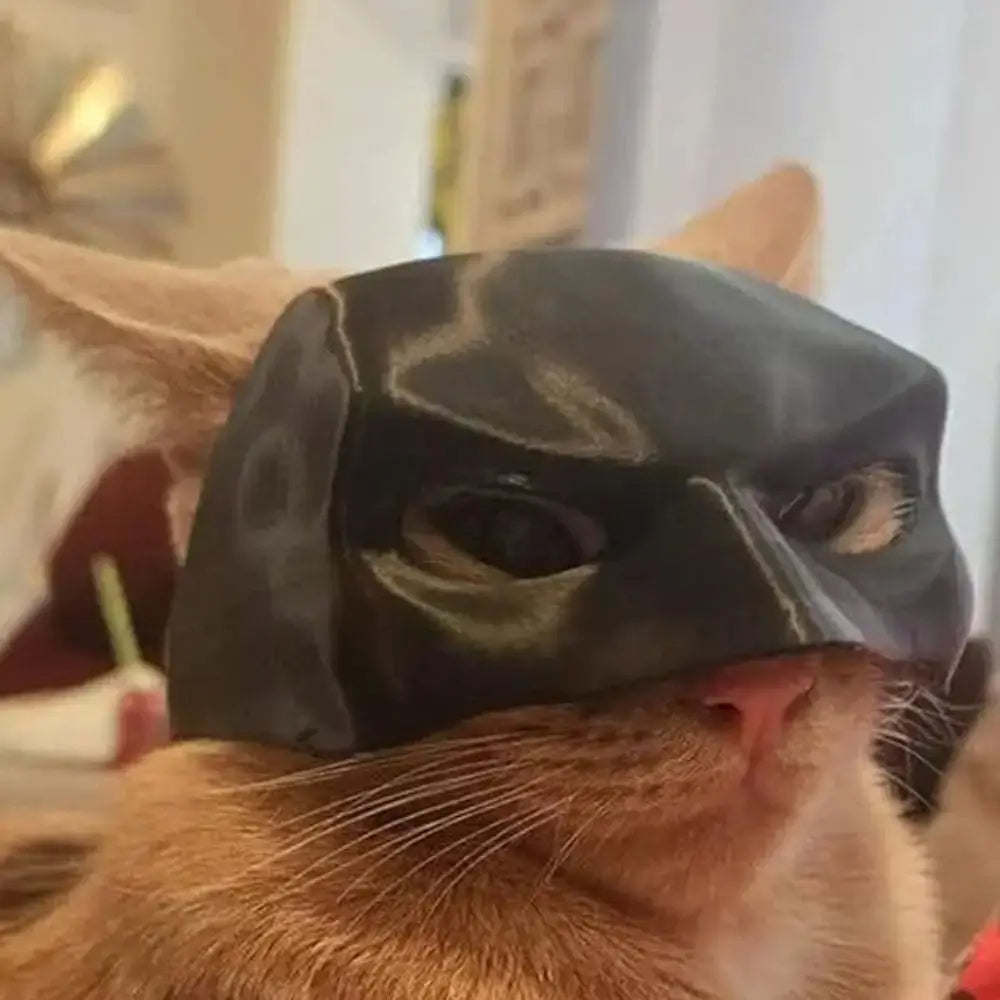 Bat Cat Hero Costume Mask